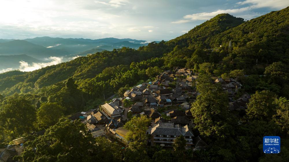 利盈国际